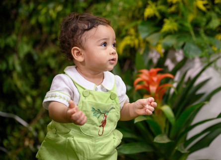 1 Ano Nicolas Borges Diniz
