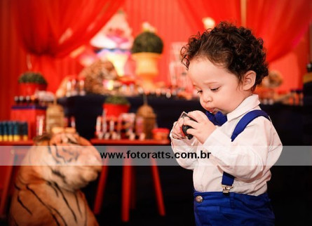 Aniversário 01 Ano Lucas no Dia 15/08/2015 no Buffet Alpha Kids