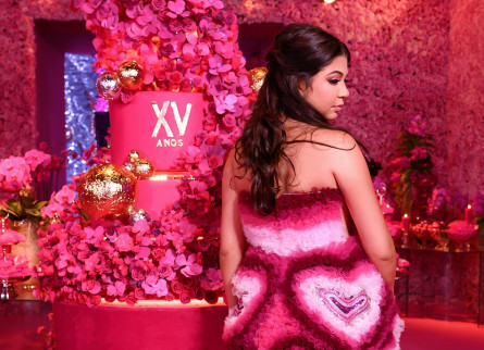 15 Anos Ana Lívia